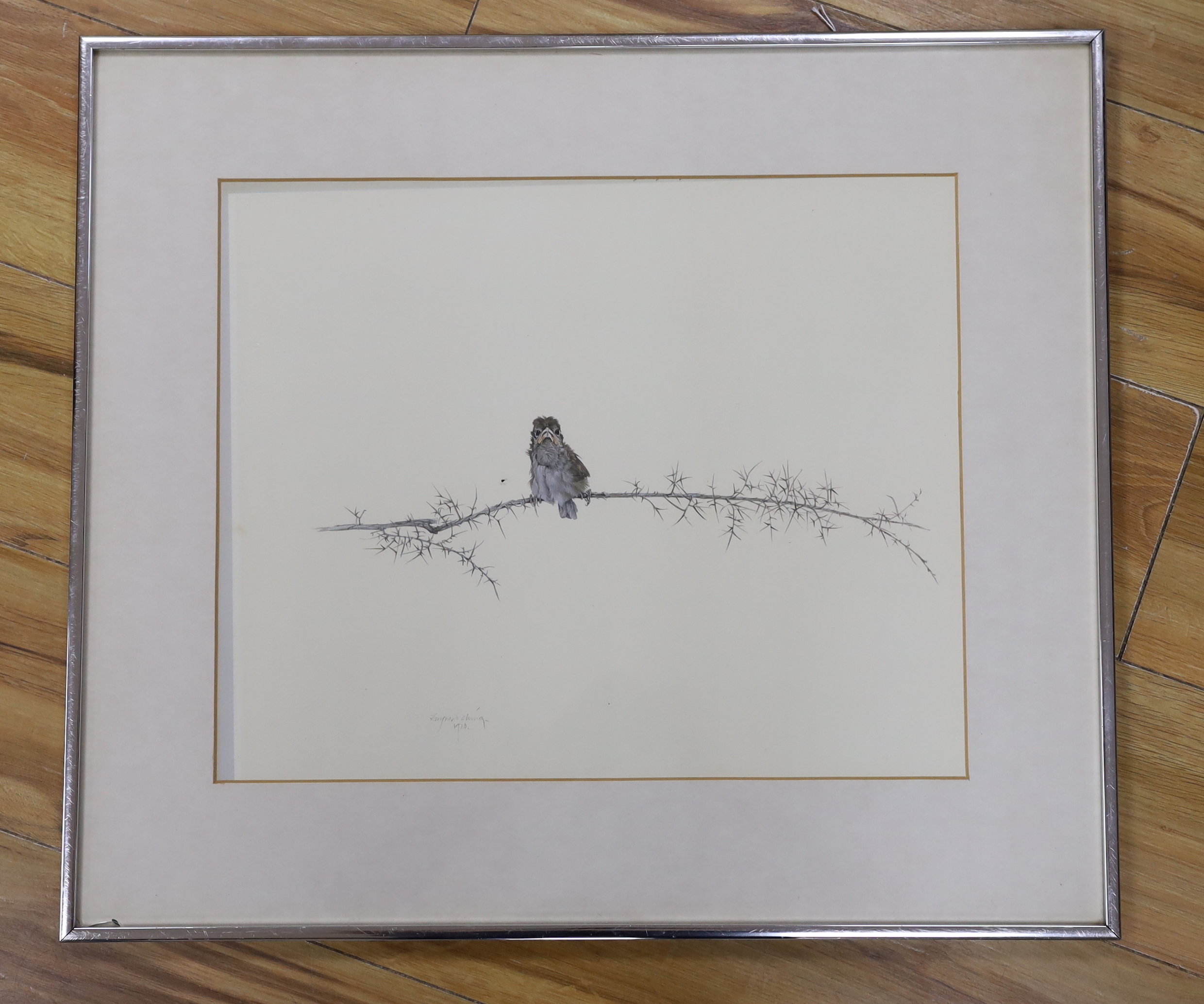 After Raymond Ching, colour print of a bird on a branch, 43 x 36cm